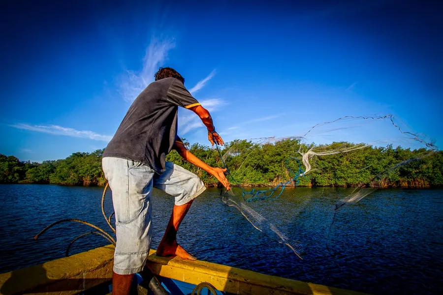 Pescador lançando a tarrafa nas águas do manguezal